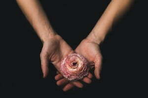 Best Holistic psychotherapy Near Me Online